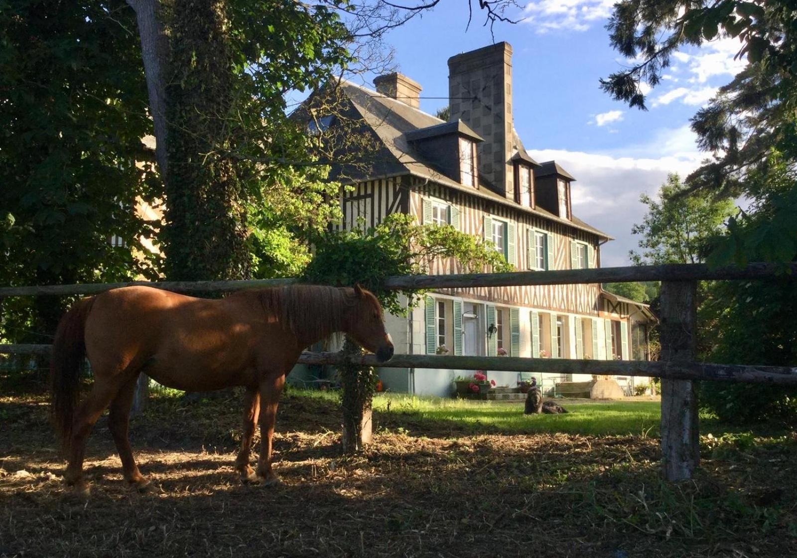 Le Domaine Lieu Bill, Normandie Blonville-sur-Mer Extérieur photo